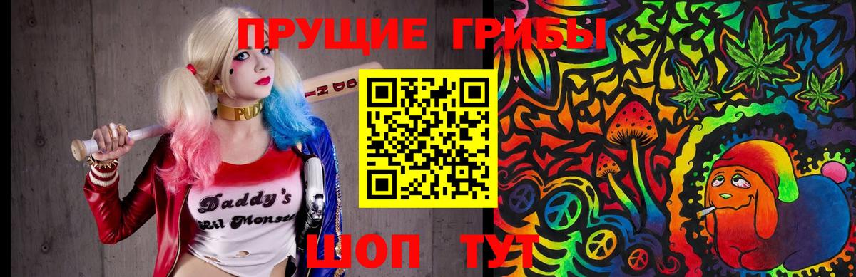 Псилоцибиновые грибы Psilocybe  Вход с VPN  Воронеж  Псилоцибиновые грибы прущие грибы 