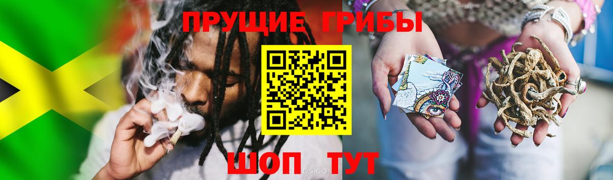 Псилоцибиновые грибы мицелий Воронеж